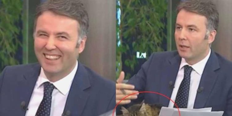 CHP’nin kedisi Şero, Mehmet Akif Ersoy’a güç anlar yaşattı