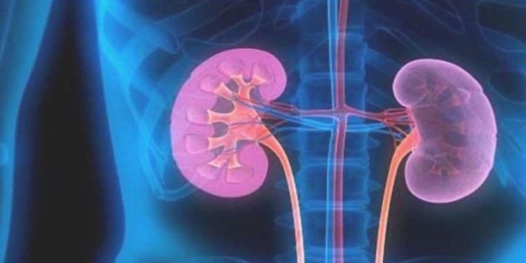 Çocuklarda sinsi böbrek taşına dikkat