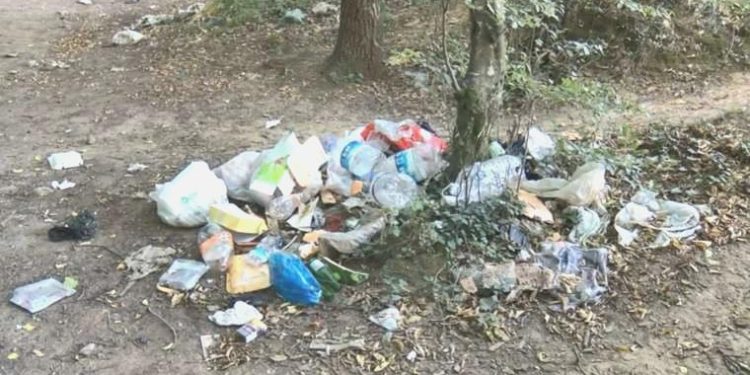 Çöplüğe döndü: Belgrad Ormanı’ndan 18 ton çöp toplandı