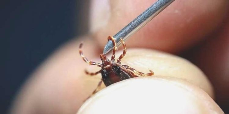 Çorum’da KKKA bir can daha aldı