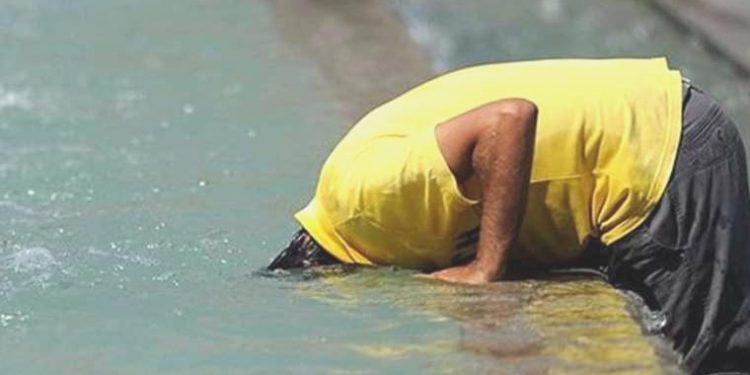 DSÖ: Kuzey yarım küredeki orman yangınları 40 kişinin vefatına neden oldu