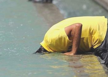 DSÖ: Kuzey yarım küredeki orman yangınları 40 kişinin vefatına neden oldu