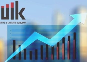 Eski Danıştay yargıcının TÜİK bilgilerinin iptali istemiyle açtığı dava reddedildi