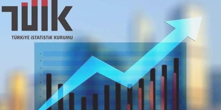 Eski Danıştay yargıcının TÜİK datalarının iptali istemiyle açtığı dava reddedildi