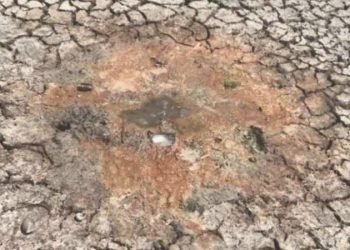 Evvelce balık tutuluyordu: Gölden geriye parçalanmış toprak kaldı