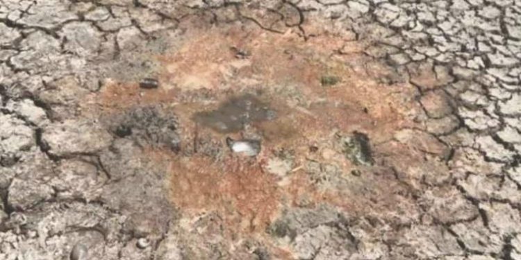 Evvelce balık tutuluyordu: Gölden geriye parçalanmış toprak kaldı