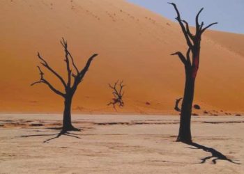 Global sıcaklık artışı 1,5 dereceyle sınırlanmayacak