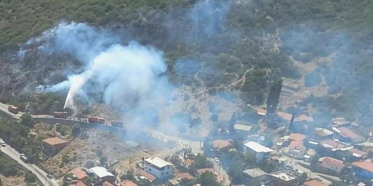 Güzelbahçe ve Kemalpaşa’da orman yangını