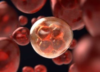 Hepatite karşı “Bilgilenin, aşılanın, korunun!”