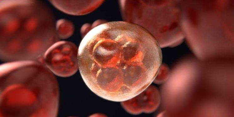 Hepatite karşı “Bilgilenin, aşılanın, korunun!”