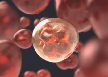 Hepatite karşı “Bilgilenin, aşılanın, korunun!”