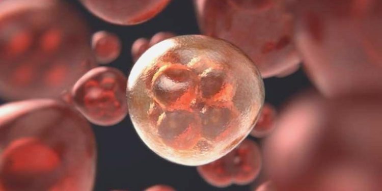 Hepatite karşı “Bilgilenin, aşılanın, korunun!”