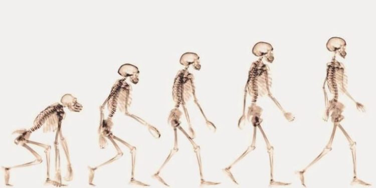 İnsanların iki ayak üzerinde yürümeyi nasıl öğrendiği keşfedildi