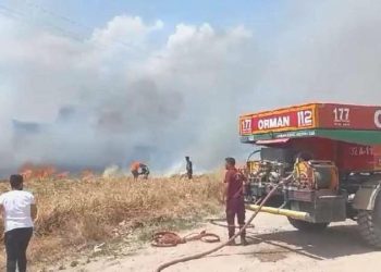 Isparta’da tarlada çıkan yangın ormana sıçradı!