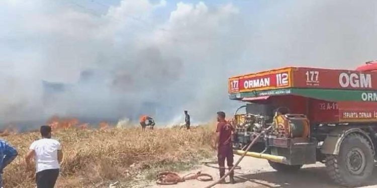 Isparta’da tarlada çıkan yangın ormana sıçradı!