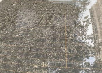 İstanbul’a çamur yağdı