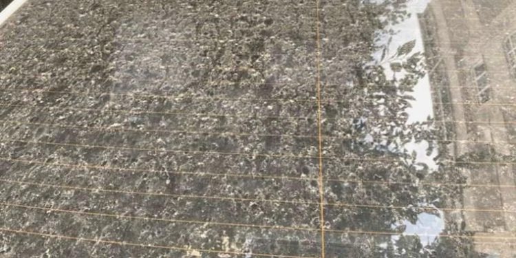 İstanbul’a çamur yağdı