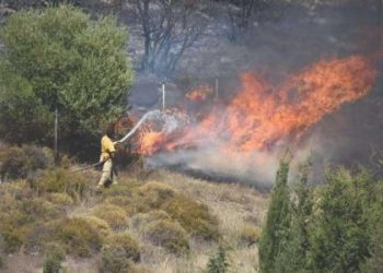 İzmir’de bir günde 25 hektar orman yandı