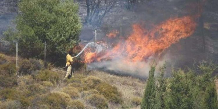 İzmir’de bir günde 25 hektar orman yandı