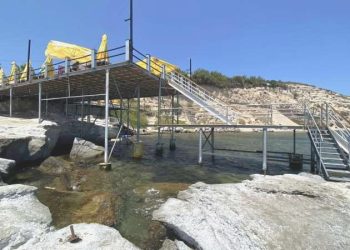 İzmir’de ‘Fokların yuvasına iskele kuruldu’ savı