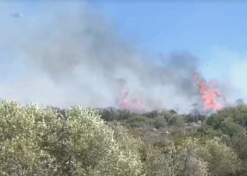 İzmir’de orman yangını… Karadan ve havadan müdahale ediliyor!