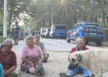 Jandarma şafak baskını düzenledi: Akbelen’e dokunma!