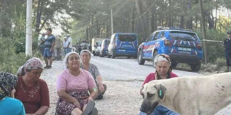 Jandarma şafak baskını düzenledi: Akbelen’e dokunma!