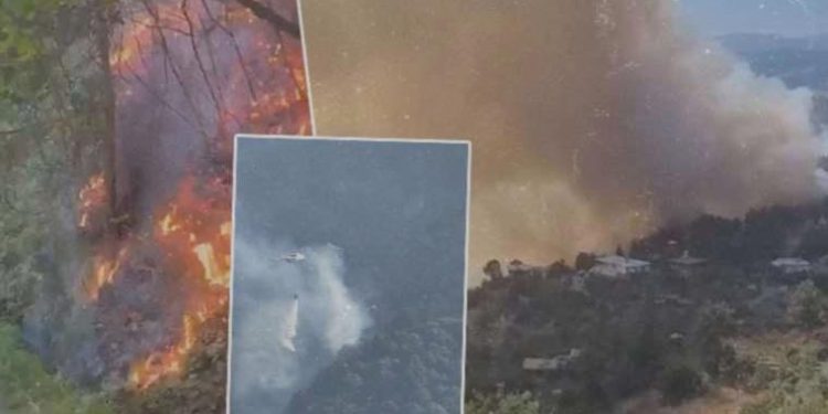 Kahramanmaraş ve Bursa’da korkutan orman yangını: Alevler meskenlere sıçradı, kimi yerler tahliye edildi…