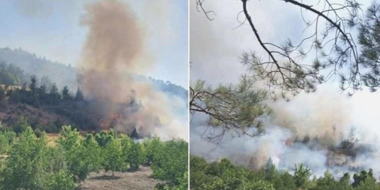 Kahramanmaraş’ta orman yangını!