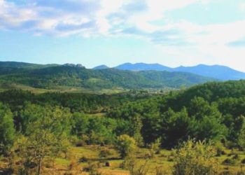 Kazdağları’na bir ‘hançer’ hazırlığı daha: Altın madeni şirketinden üçüncü ÇED başvurusu!