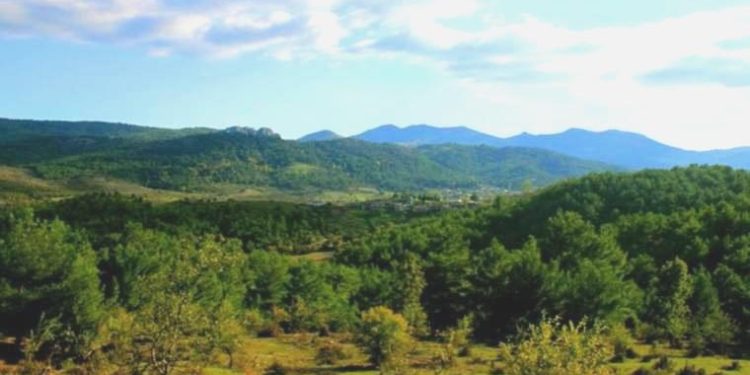 Kazdağları’na bir ‘hançer’ hazırlığı daha: Altın madeni şirketinden üçüncü ÇED başvurusu!