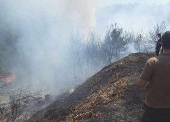 Kemalpaşa’da orman yangını!