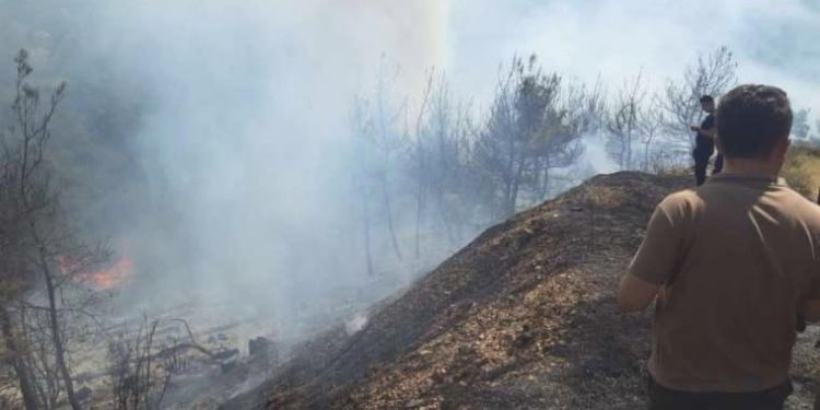 Kemalpaşa’da orman yangını!