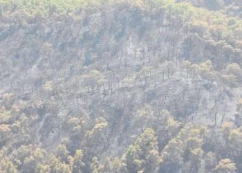 Kemer’deki yangında 1120 futbol alanı büyüklüğünde alan etkilendi