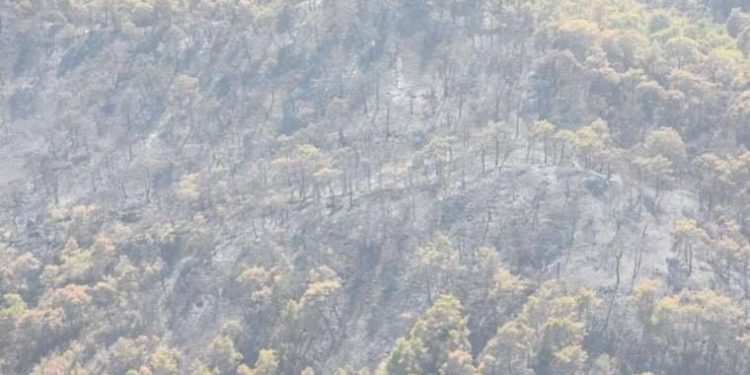 Kemer’deki yangında 1120 futbol alanı büyüklüğünde alan etkilendi