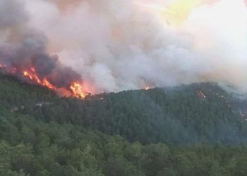 Kütahya’da orman yangını… Eskişehir’den gruplar sevk edildi!