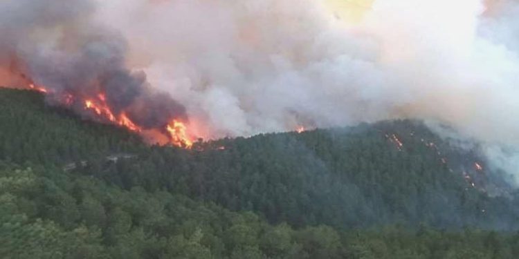Kütahya’da orman yangını… Eskişehir’den gruplar sevk edildi!