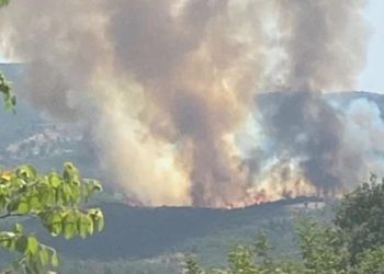 Kütahya’da orman yangını: Grupların müdahalesi sürüyor!