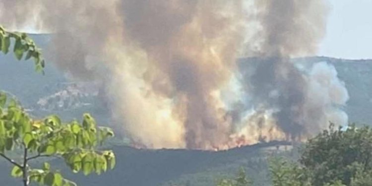 Kütahya’da orman yangını: Köylerin tahliyesi için anons yapıldı