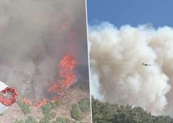 Manisa ve Kahramanmaraş’ta orman yangını: Alevler yerleşim yerlerine ulaştı, birtakım konutlar yandı