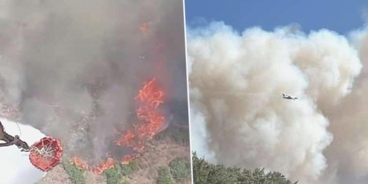 Manisa ve Kahramanmaraş’ta orman yangını: Alevler yerleşim yerlerine ulaştı, birtakım konutlar yandı