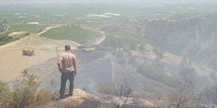 Manisa’da makilik yangını!