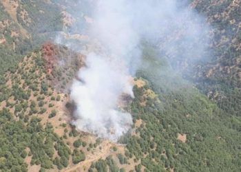 Manisa’da orman yangını!