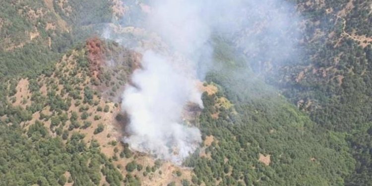 Manisa’da orman yangını!