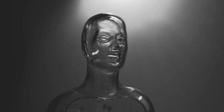 Margaret Atwood, yapay zeka şirketlerini “yazarlara tazminat ödemeye” çağırdı