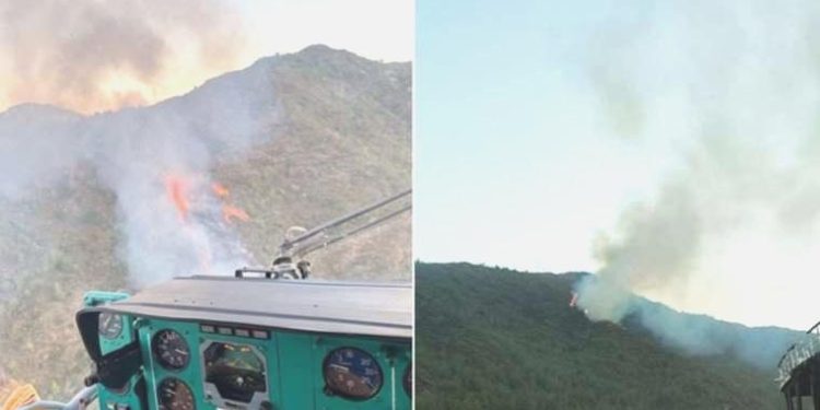 Marmaris’te orman yangını!