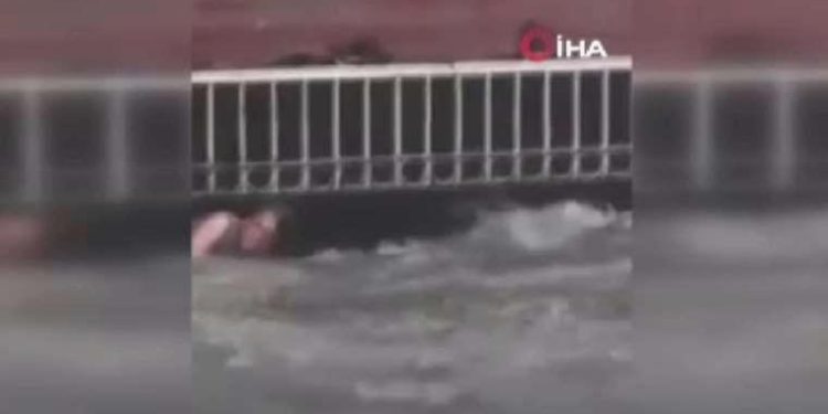 Meksikalı gazeteci selde boğulmak üzere olan evsiz adamı kurtardı