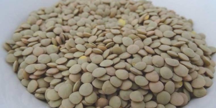 Mercimek ihracatı birinci 6 ayda 210 milyon dolar oldu: Gelirler arttı