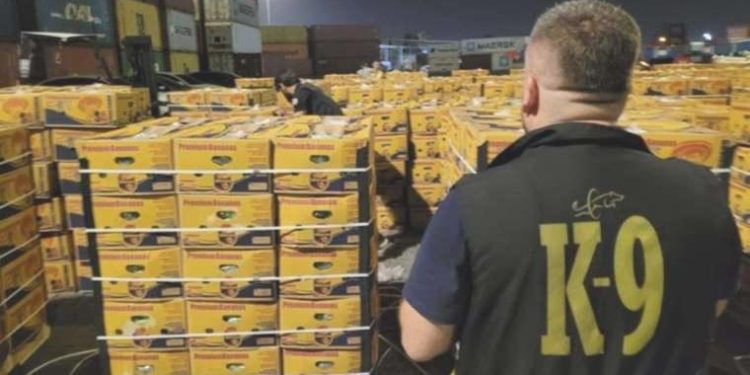 Mersin Limanı’nda 11 kilogram kokain ele geçirildi