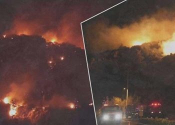 Muğla’da orman yangını: Bölgeye çok sayıda takım sevk edildi, gece görüşlü helikopter istendi